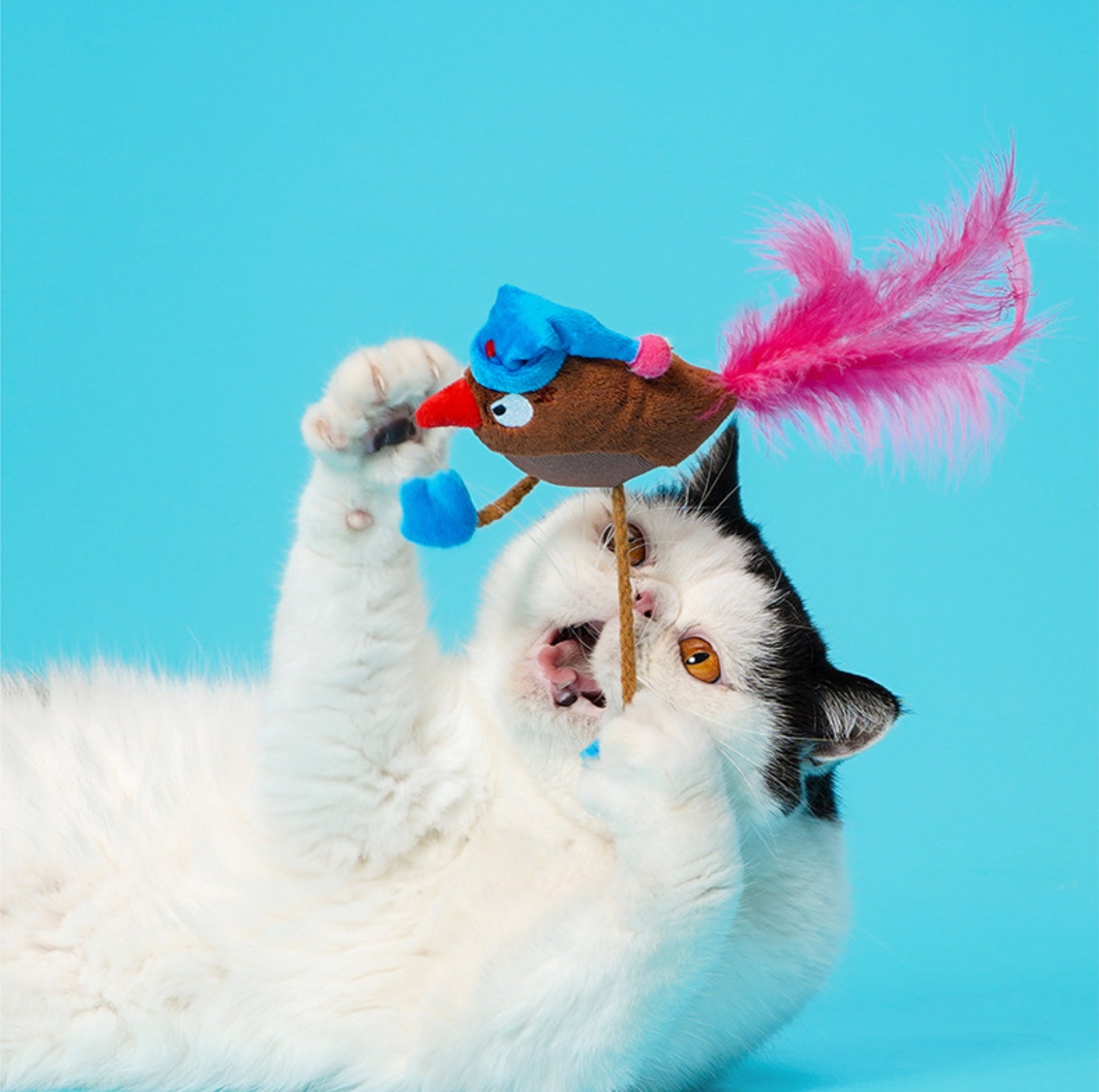 ZeZe Silly Birds Plush Catnip Toy - {{product.type}} - PawPawUp
