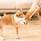 Animal Style Pocketed Plush Dog Toy - Fillable with Water Bottle for Extra Fun - {{product.type}} - PawPawUp
