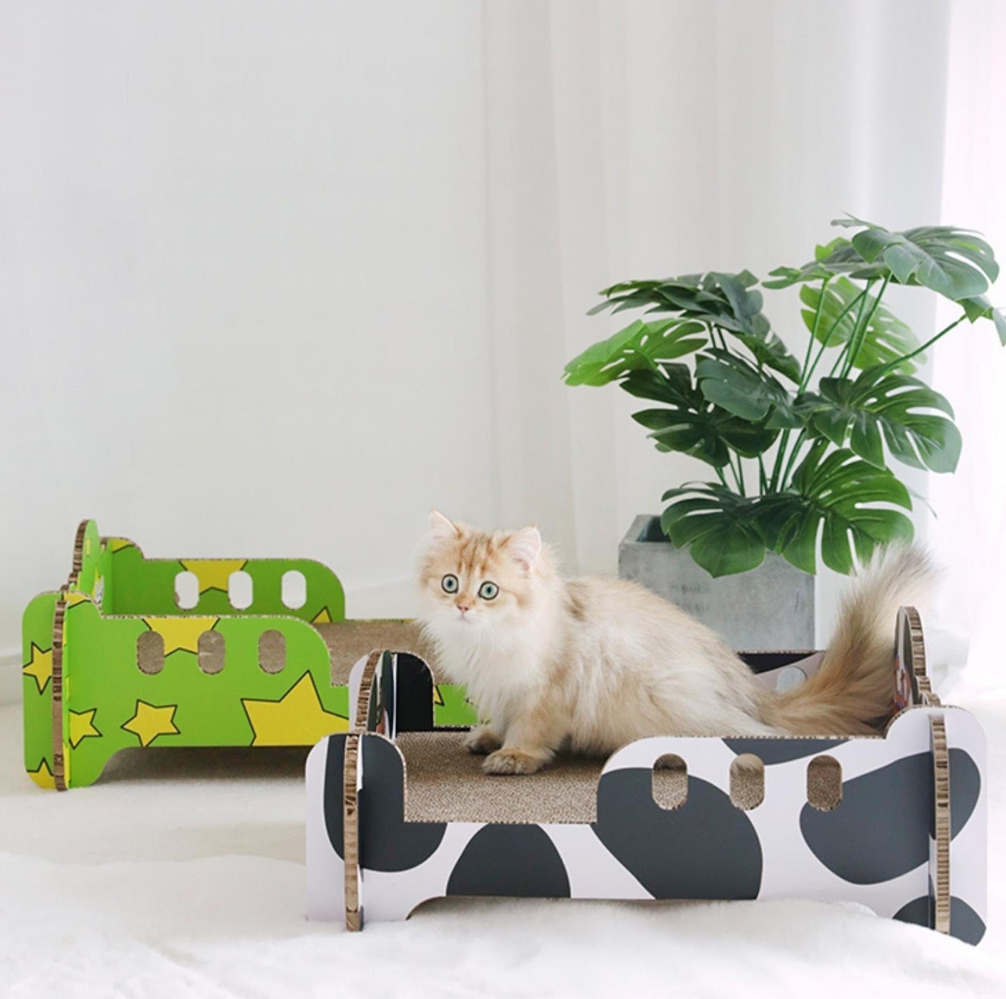 Single Bed-Style Cat Scratcher and Bed with Cute Patterns - {{product.type}} - PawPawUp