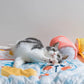 MissPet "My Cool Couch" Cat Bed Dog Bed Made with Cool Feeling Silk - {{product.type}} - PawPawUp