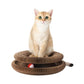 Magic Organ Cat Scratching Toy With Ball Cat Scratcher - {{product.type}} - PawPawUp