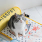 MissPet "My Cool Couch" Cat Bed Dog Bed Made with Cool Feeling Silk - {{product.type}} - PawPawUp