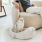 ZeZe Summer Ice Silk Seal Pet Cat Bed Dog Bed - {{product.type}} - PawPawUp