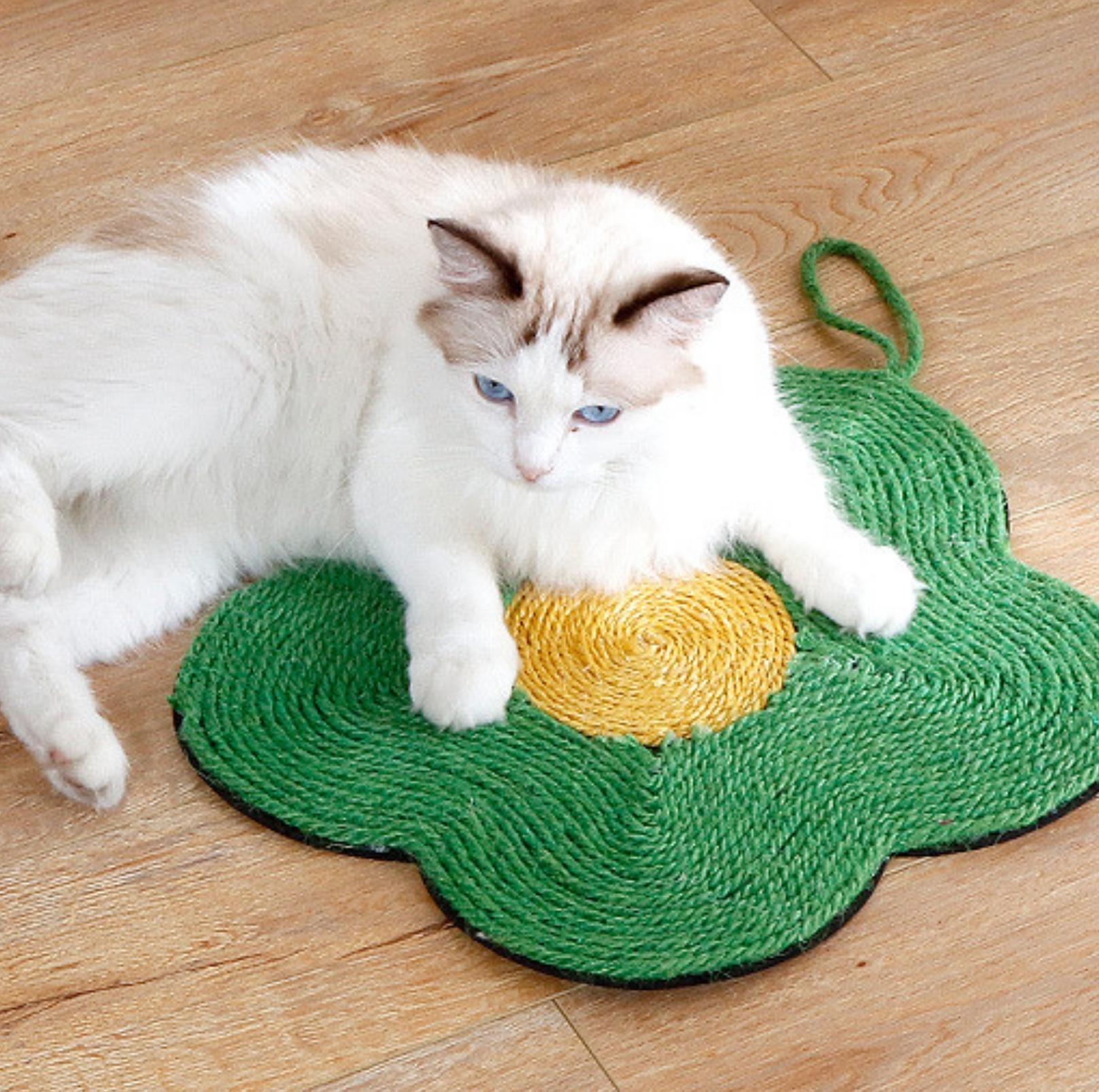 Cat 2024 rug toy