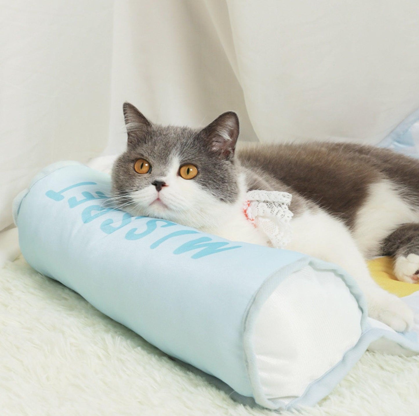 MissPet "My Cool Couch" Cat Bed Dog Bed Made with Cool Feeling Silk - {{product.type}} - PawPawUp