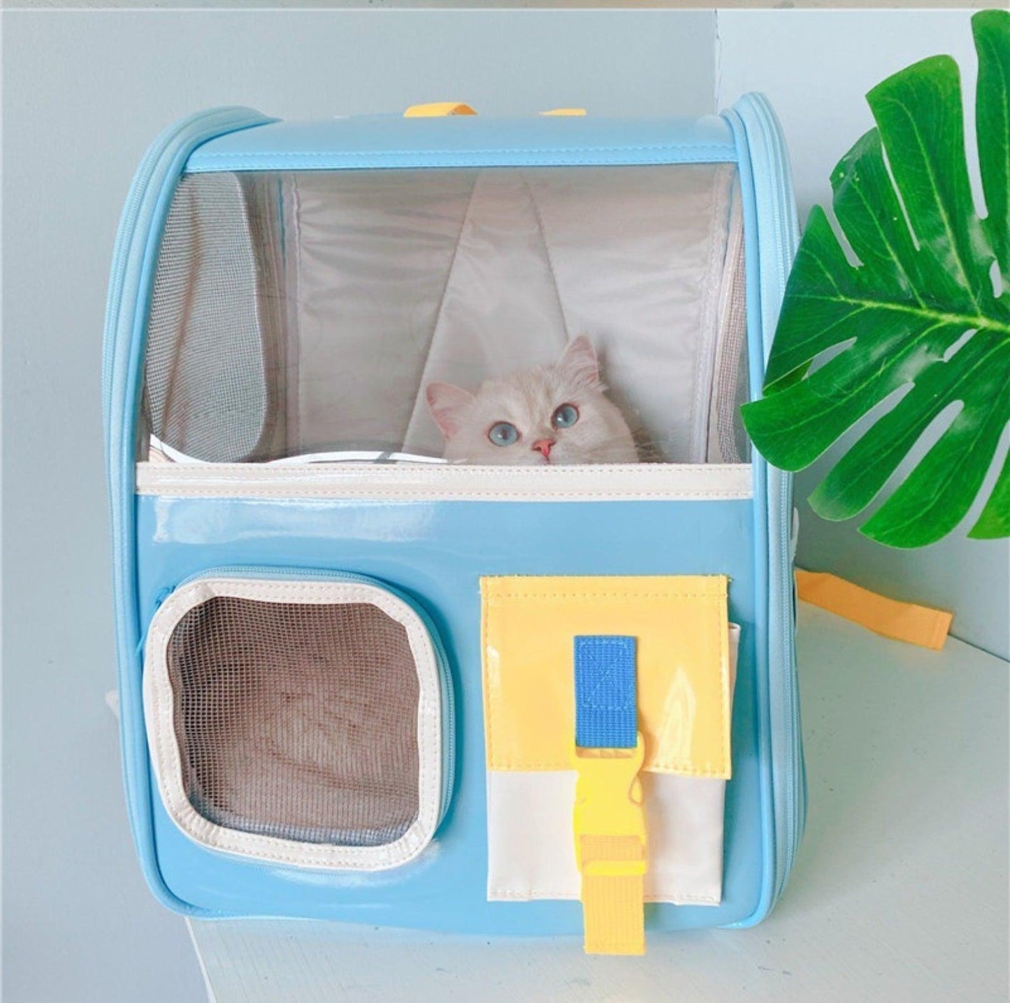 "Back to School" Clear Shoulder Bag Cat and Small Dog Carrier - {{product.type}} - PawPawUp