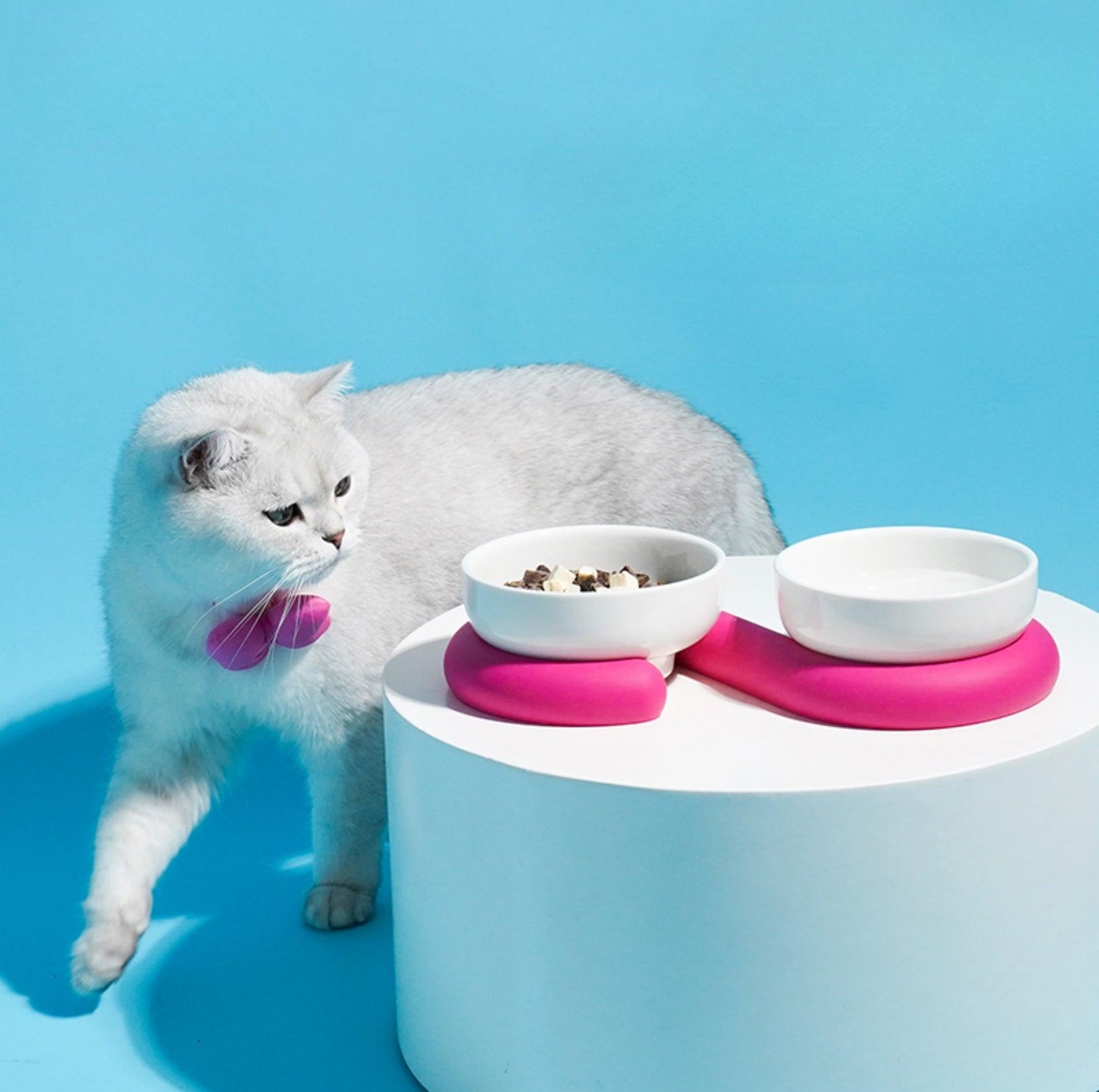 ZeZe Stylish Ceramic Double Cat Bowls and Dog Bowls With Silicone Base - {{product.type}} - PawPawUp