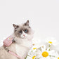 Daisy Backpack-Style Cat Harness & Leash Set - {{product.type}} - PawPawUp