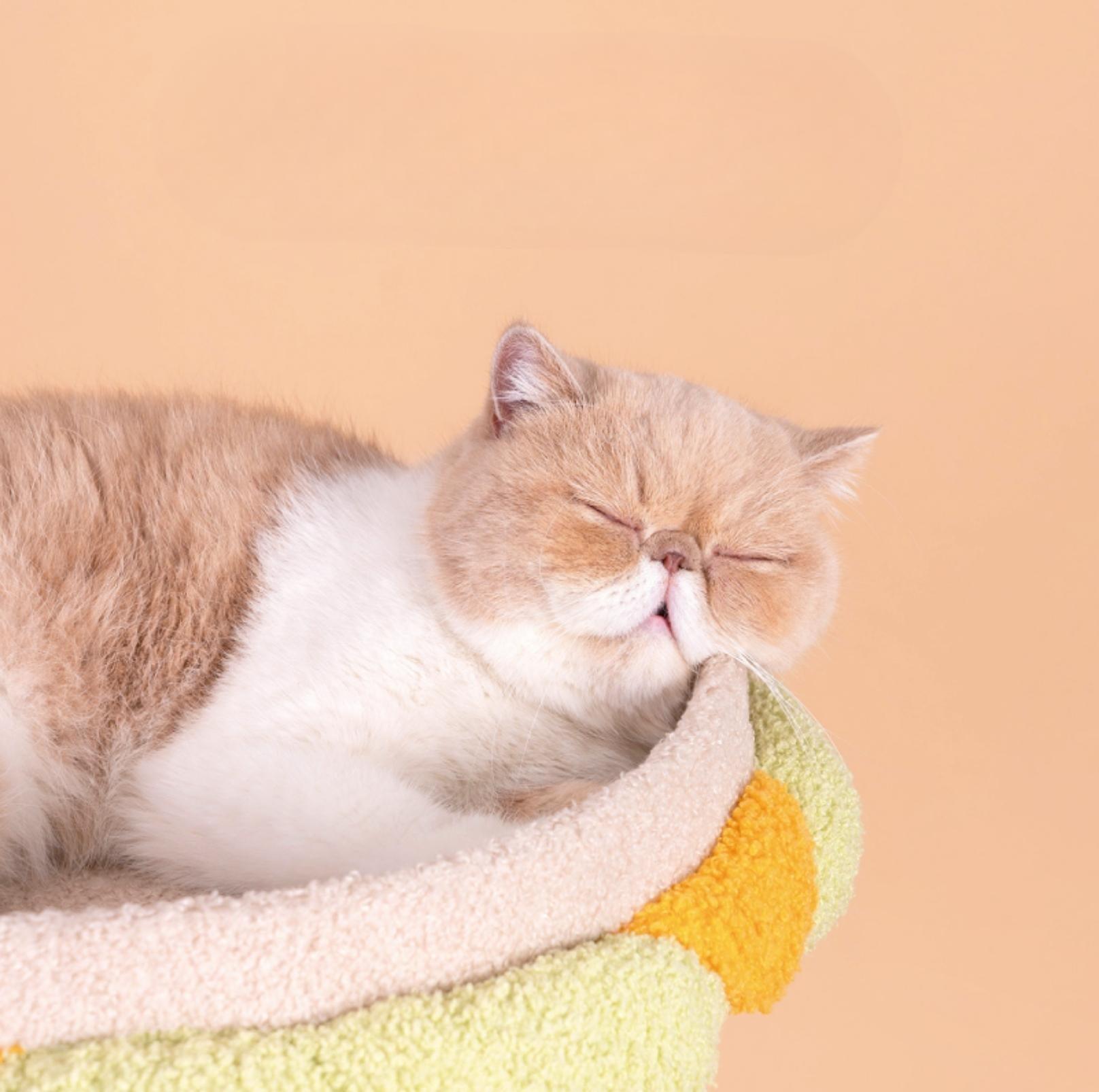 PurLab Family Meal 3-Levels Cat Tree With Scratching Post - {{product.type}} - PawPawUp