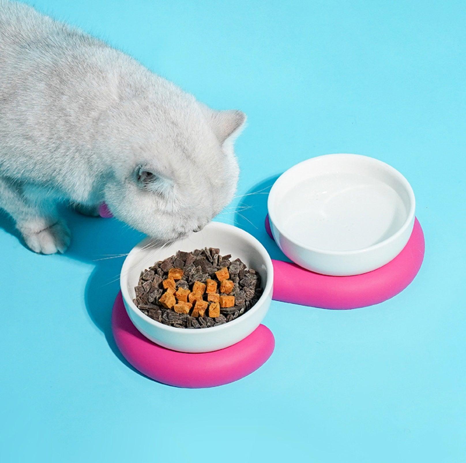 Double cat clearance food bowl