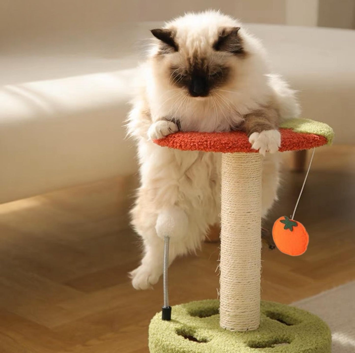 Cute Cartoon Style Small Cat Tree Scratching Post - {{product.type}} - PawPawUp