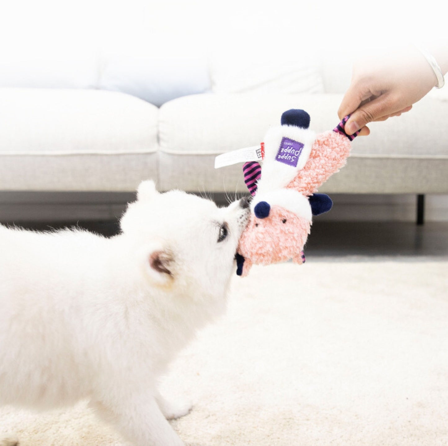 GiGwi Plush Knit - Squeaky and Crackling Interactive Dog Toy