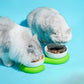 ZeZe Stylish Ceramic Double Cat Bowls and Dog Bowls With Silicone Base - {{product.type}} - PawPawUp