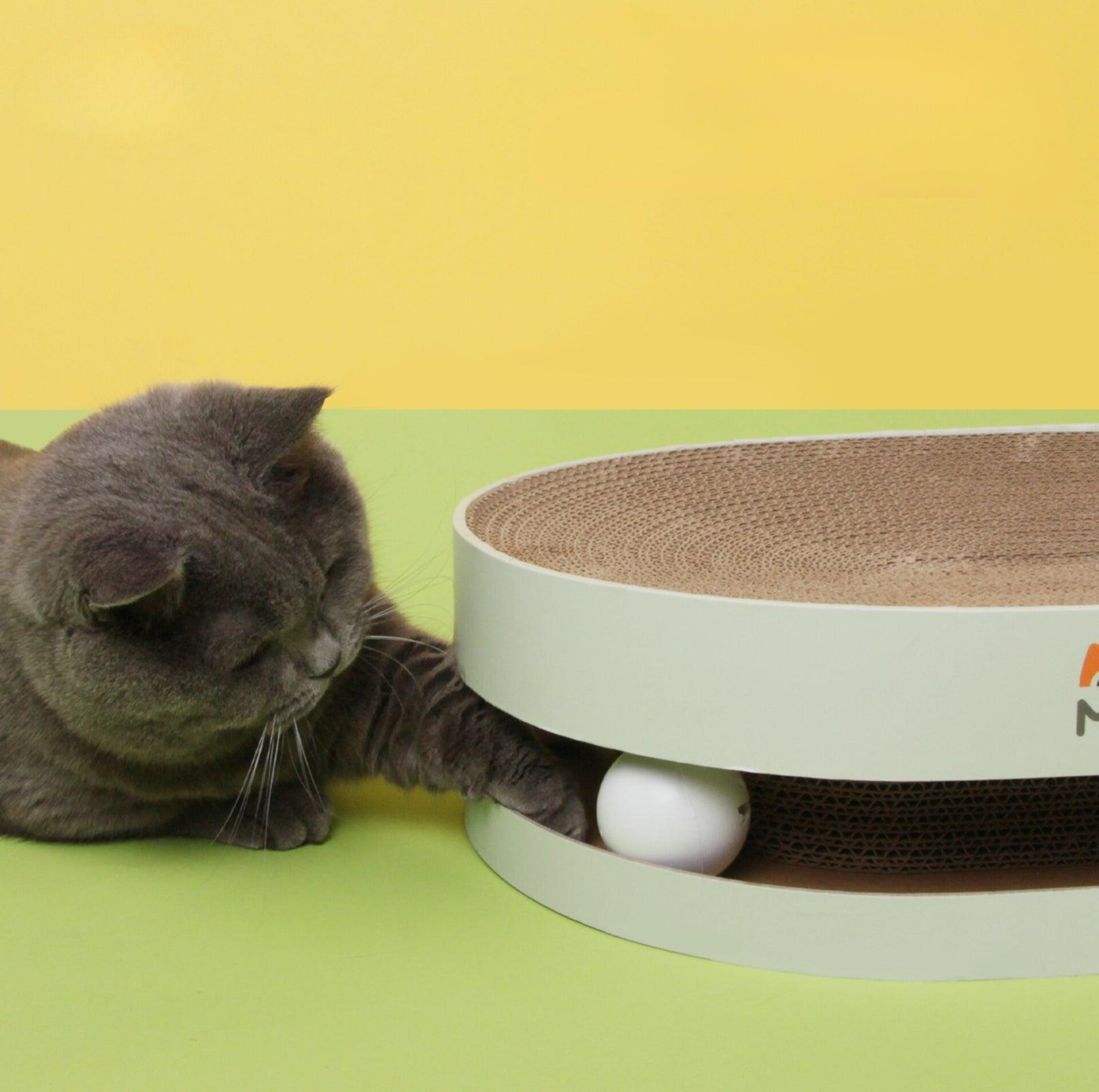 Oval Double-Layered Cat Scratcher with Track & Bell Balls - {{product.type}} - PawPawUp