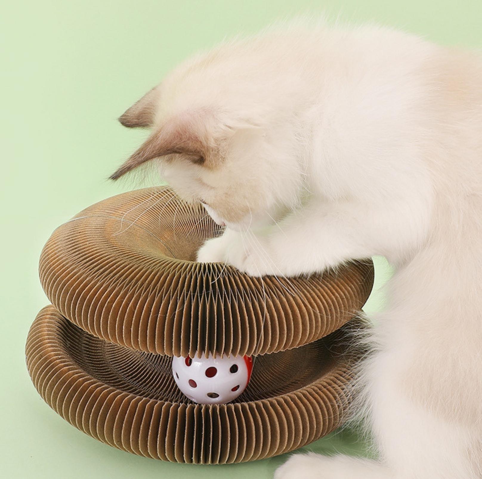 Magic Organ Cat Scratching Toy With Ball Cat Scratcher - {{product.type}} - PawPawUp