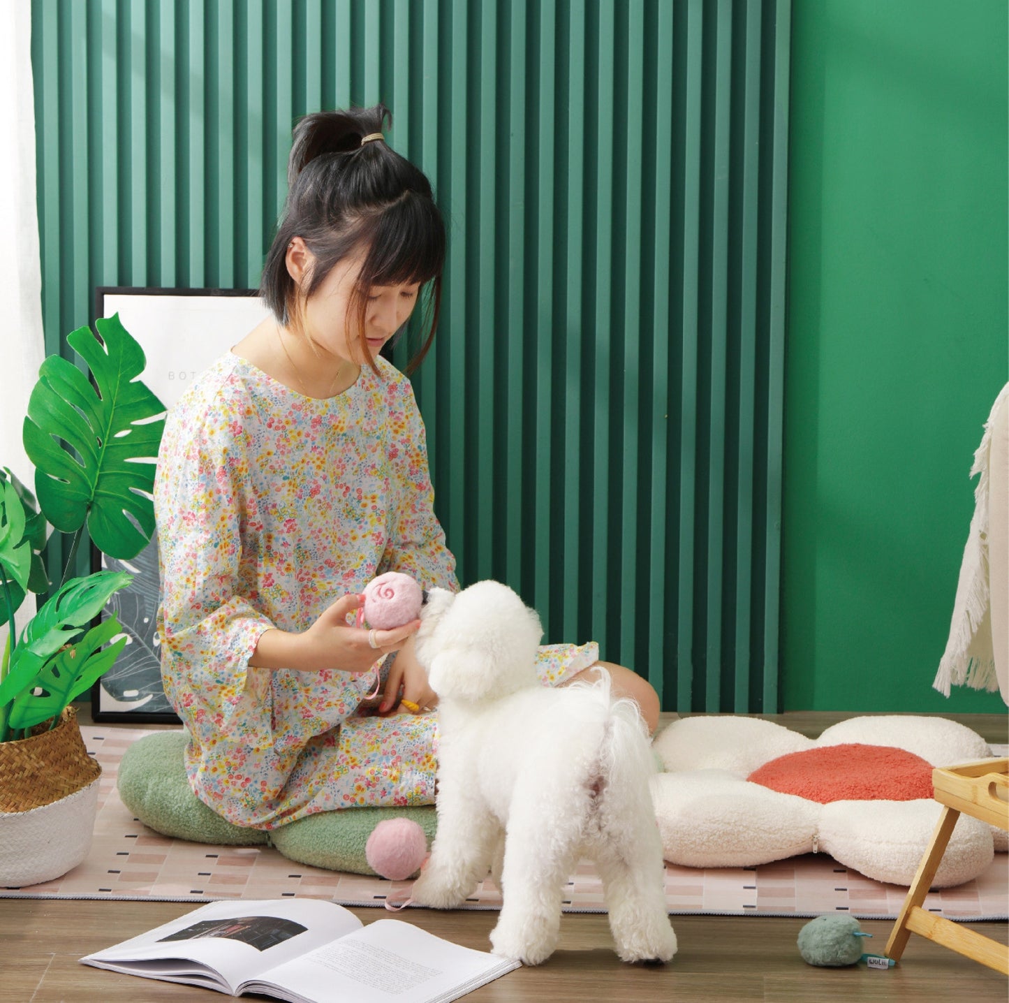 Wuliii Dual-Use Plush Pet Treat Ball - Cute and Functional Cat Dog Toys