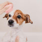 Cat Paw Shaped Pet Bathing Brush Massager - Gentle and Effective - {{product.type}} - PawPawUp