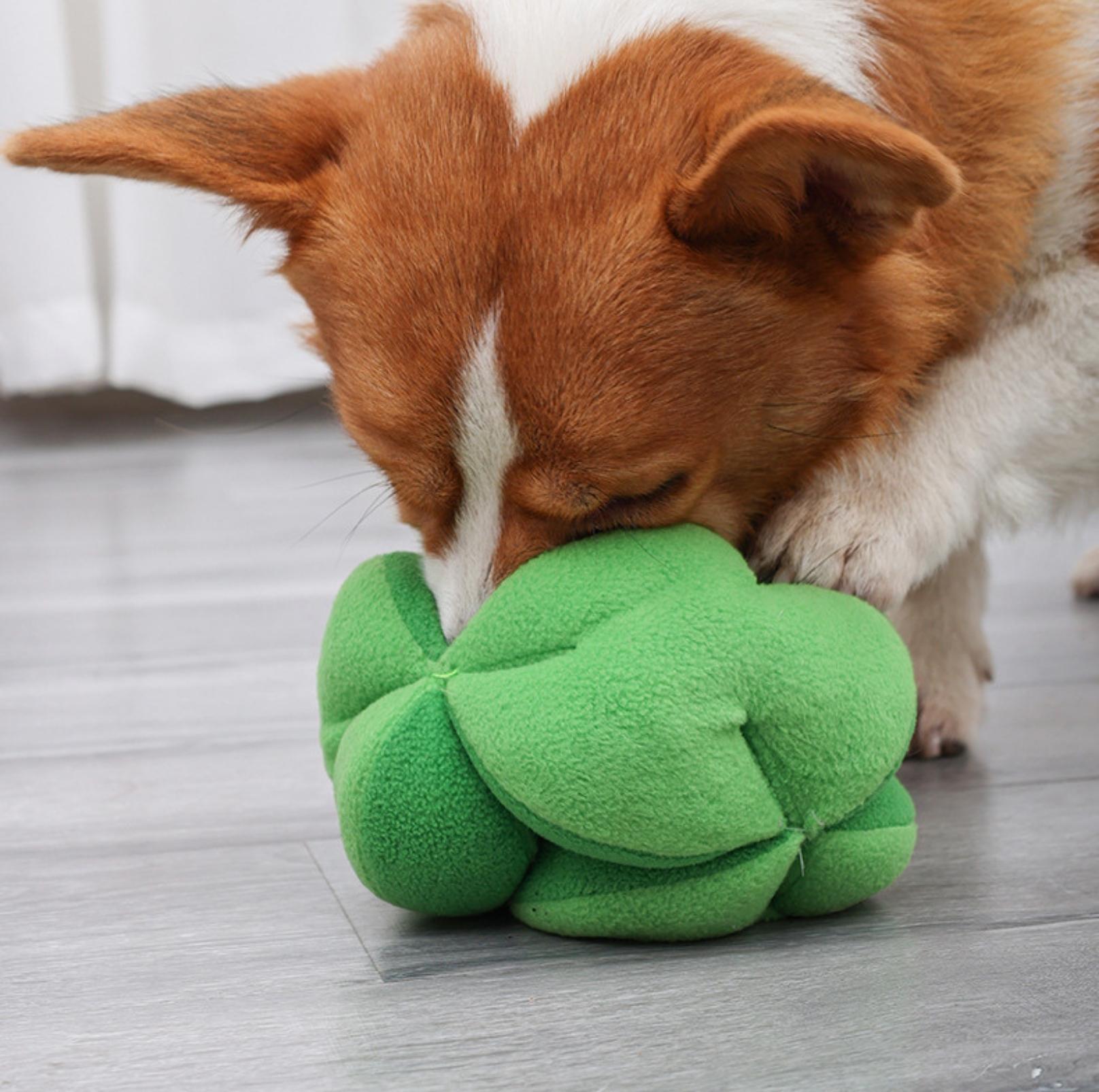 Broccoli Plush Pet Snuffle Toy - Interactive Slow-Eating Training Toy for Dogs - {{product.type}} - PawPawUp