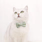 Pet Adjustable Bow Collar with Daisy Pattern - {{product.type}} - PawPawUp