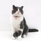 Japanese Style Adjustable Pet Flower Hollow Bell Collar - {{product.type}} - PawPawUp
