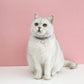 Adjustable Pet Collar with Lovely Charm and Copper Bell for Cats and Small Dogs - {{product.type}} - PawPawUp