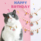 Adjustable Birthday Party Decor Pet Collar - Perfect for Celebrating - {{product.type}} - PawPawUp