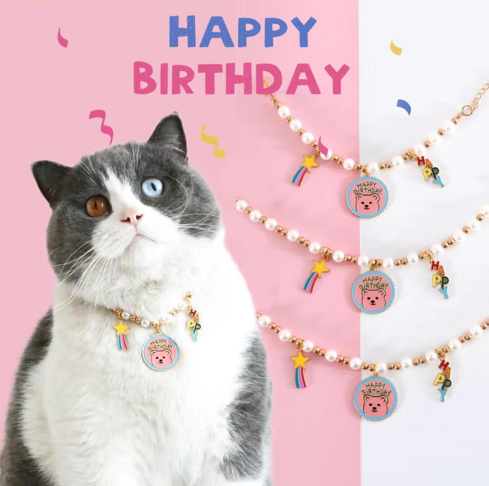Adjustable Birthday Party Decor Pet Collar - Perfect for Celebrating - {{product.type}} - PawPawUp
