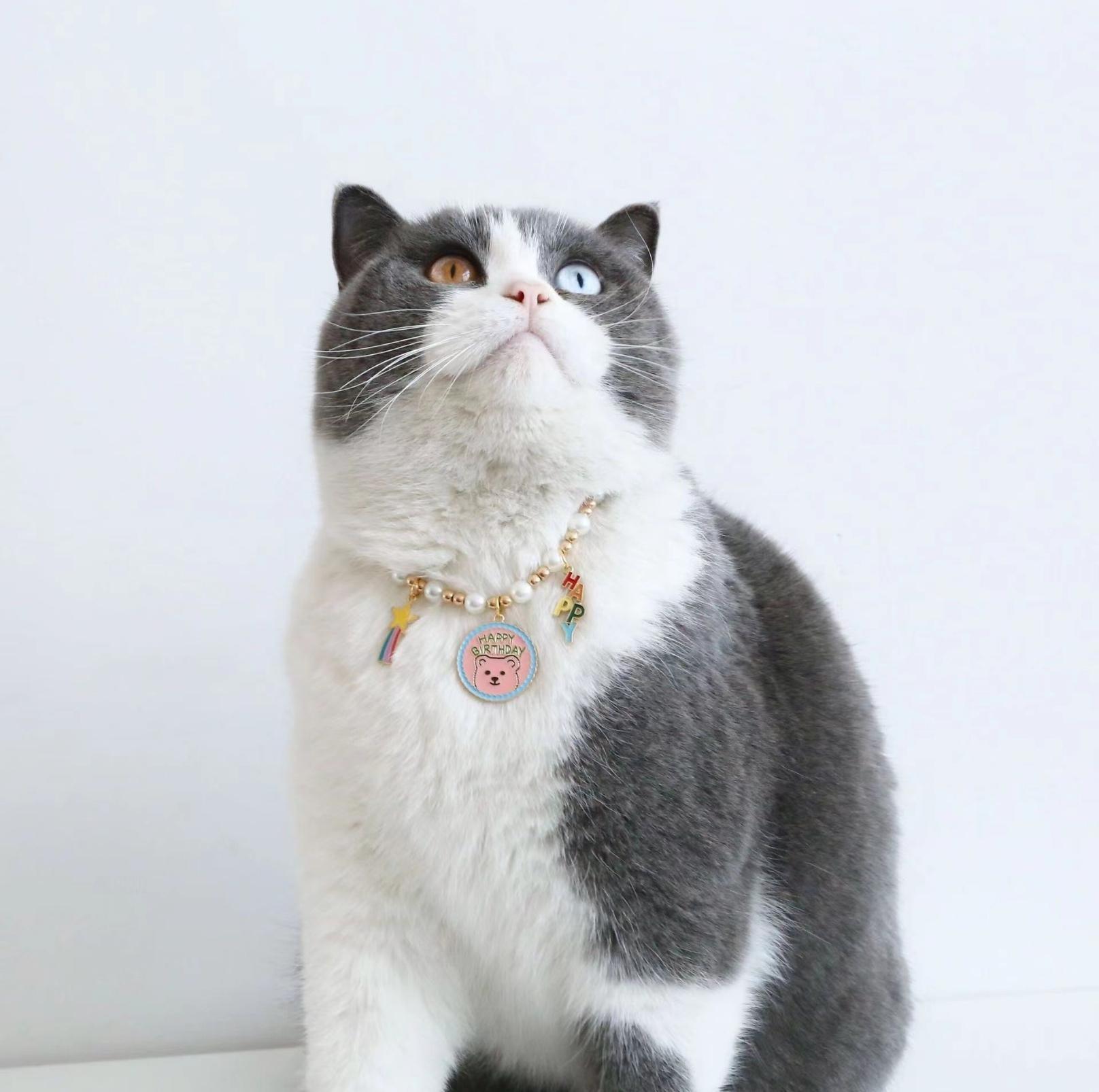 Adjustable Birthday Party Decor Pet Collar - Perfect for Celebrating - {{product.type}} - PawPawUp