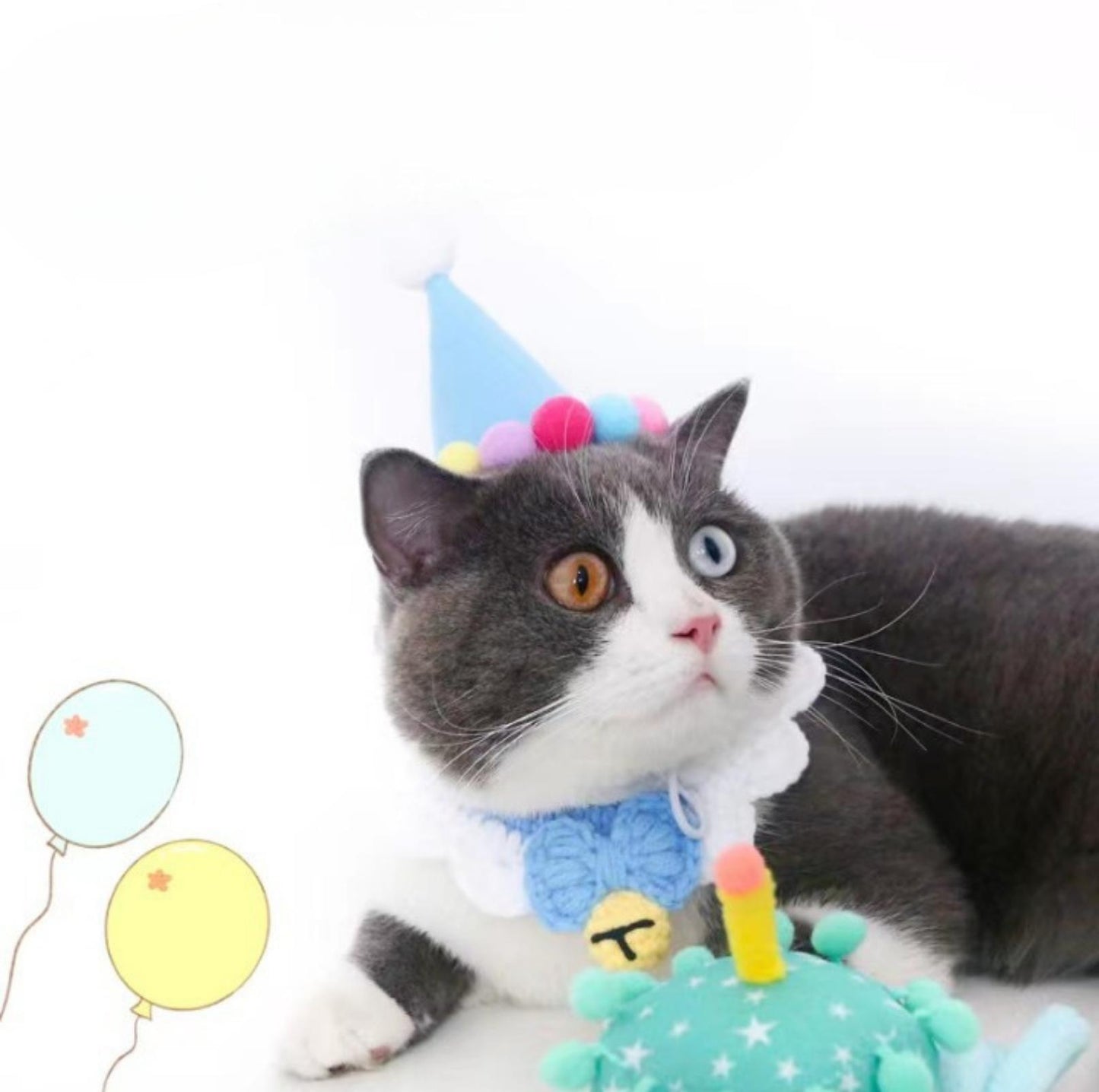 Birthday Party Felt Pet Hat With PomPom Decor - {{product.type}} - PawPawUp