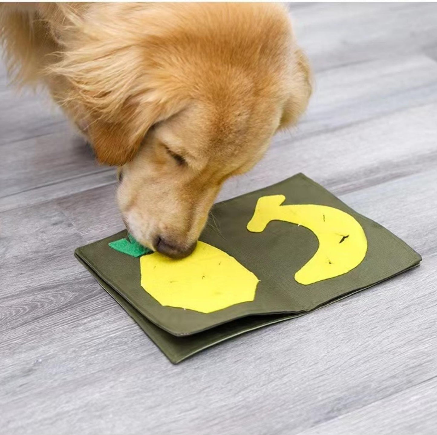 Book-Style Dog Snuffle Mat Training Toy - {{product.type}} - PawPawUp