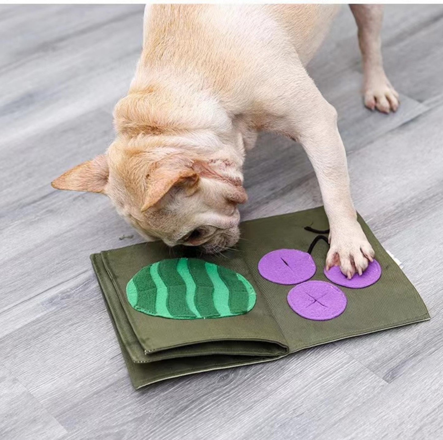 Book-Style Dog Snuffle Mat Training Toy - {{product.type}} - PawPawUp