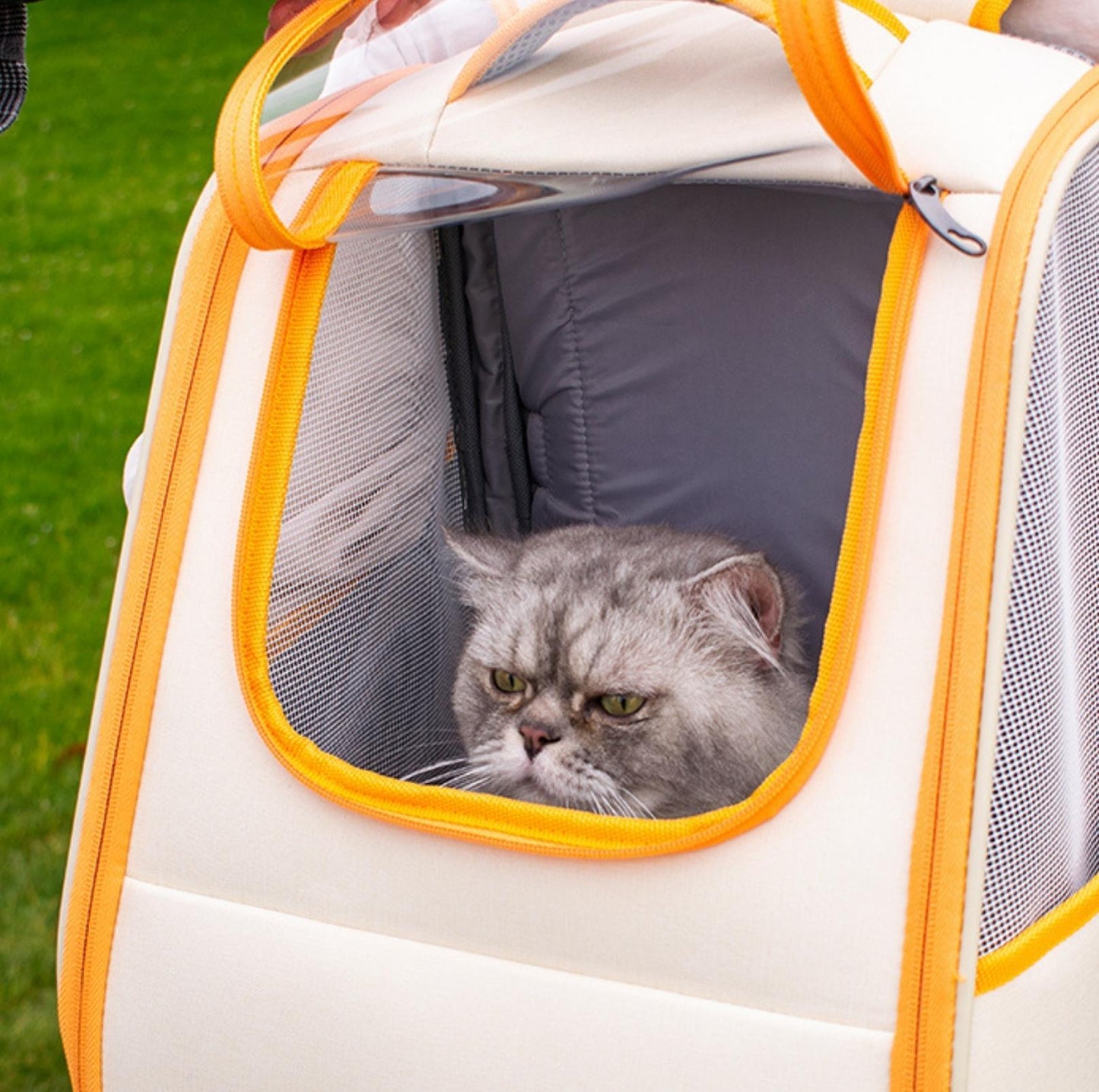 Car-Accessible Shoulder Bag Style Cat Carrier Small Dog Carrier - {{product.type}} - PawPawUp