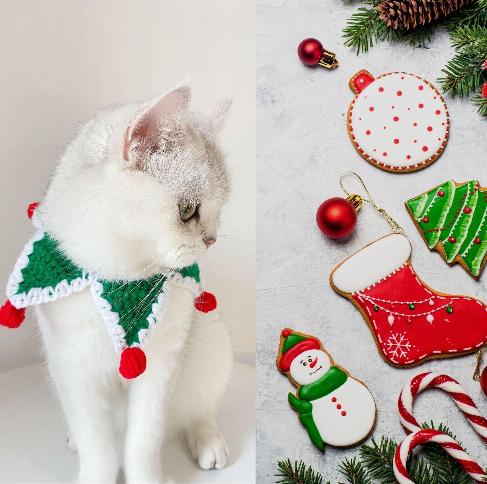 Christmas Collection Knitted Pet Collar - {{product.type}} - PawPawUp