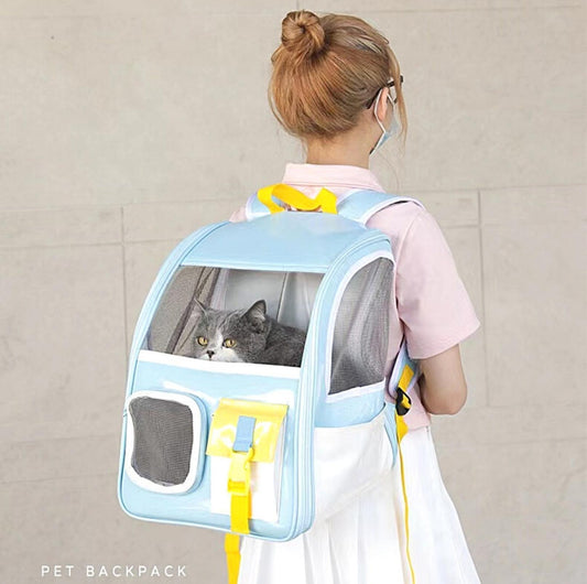 "Back to School" Clear Shoulder Bag Cat and Small Dog Carrier - {{product.type}} - PawPawUp
