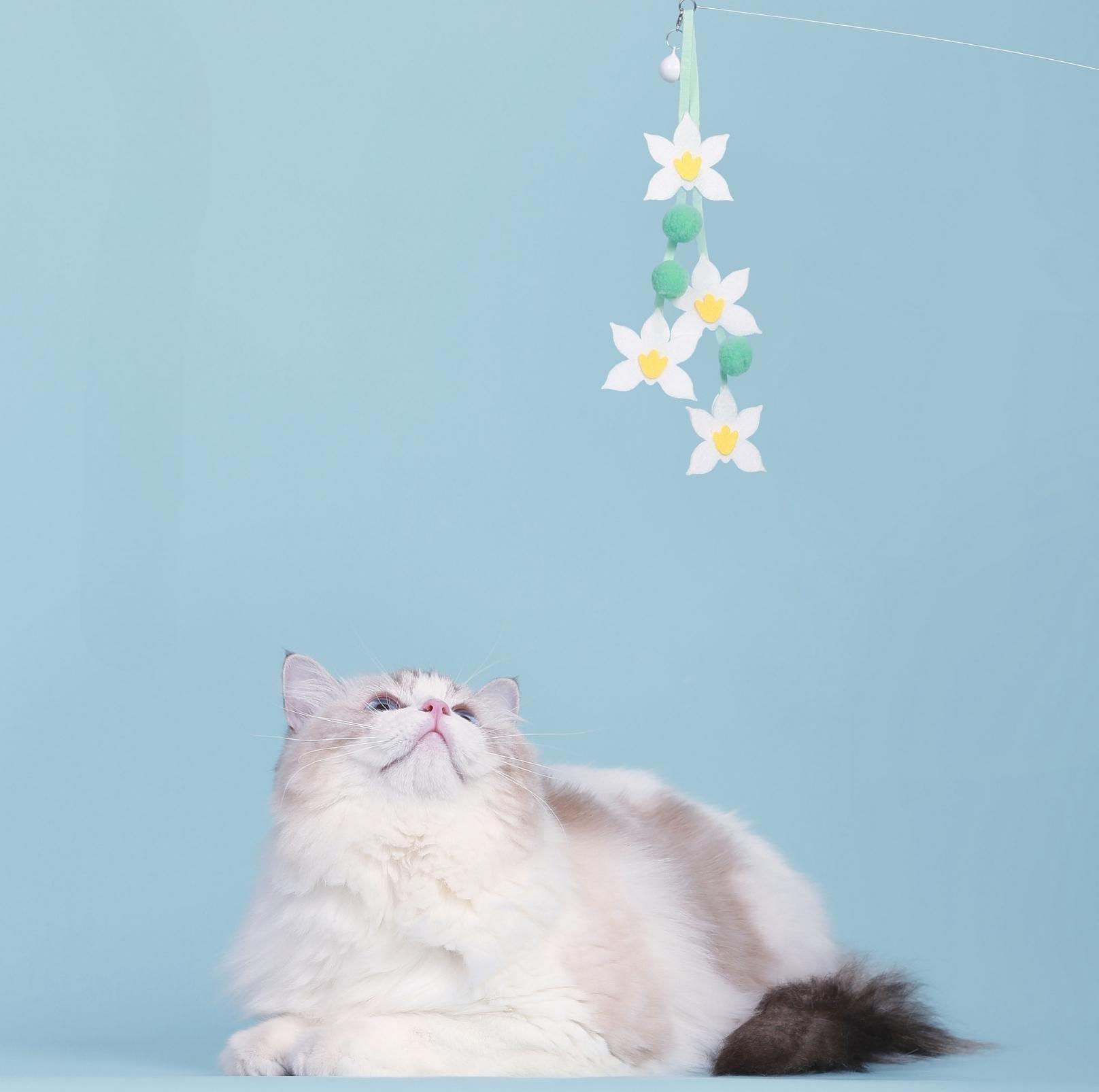Colourful Flower Styled Cat Stick with Bells and Tassels | Cat Toys - {{product.type}} - PawPawUp