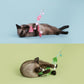 Colourful Flower Styled Cat Stick with Bells and Tassels | Cat Toys - {{product.type}} - PawPawUp