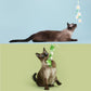 Colourful Flower Styled Cat Stick with Bells and Tassels | Cat Toys - {{product.type}} - PawPawUp
