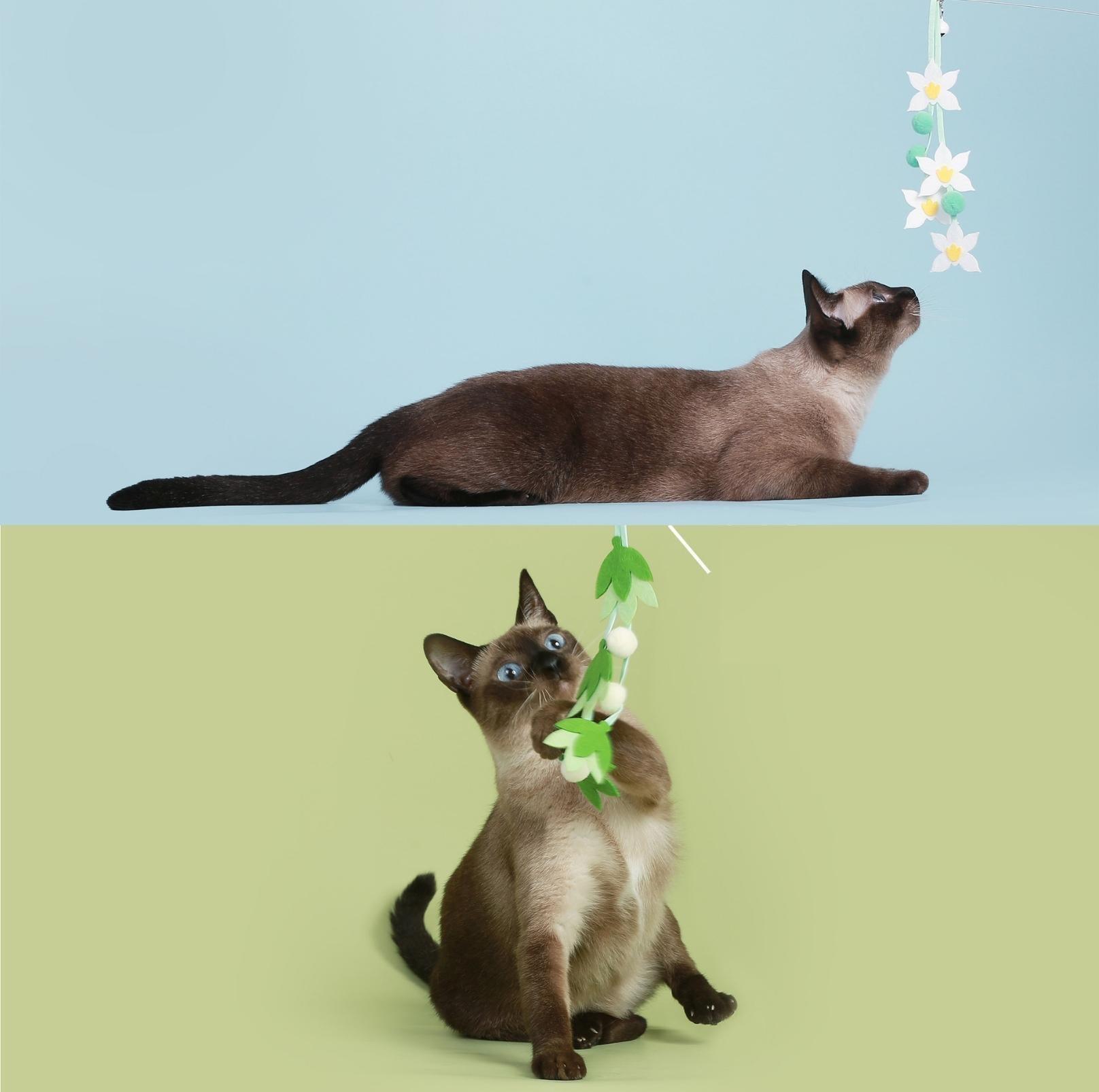 Colourful Flower Styled Cat Stick with Bells and Tassels | Cat Toys - {{product.type}} - PawPawUp