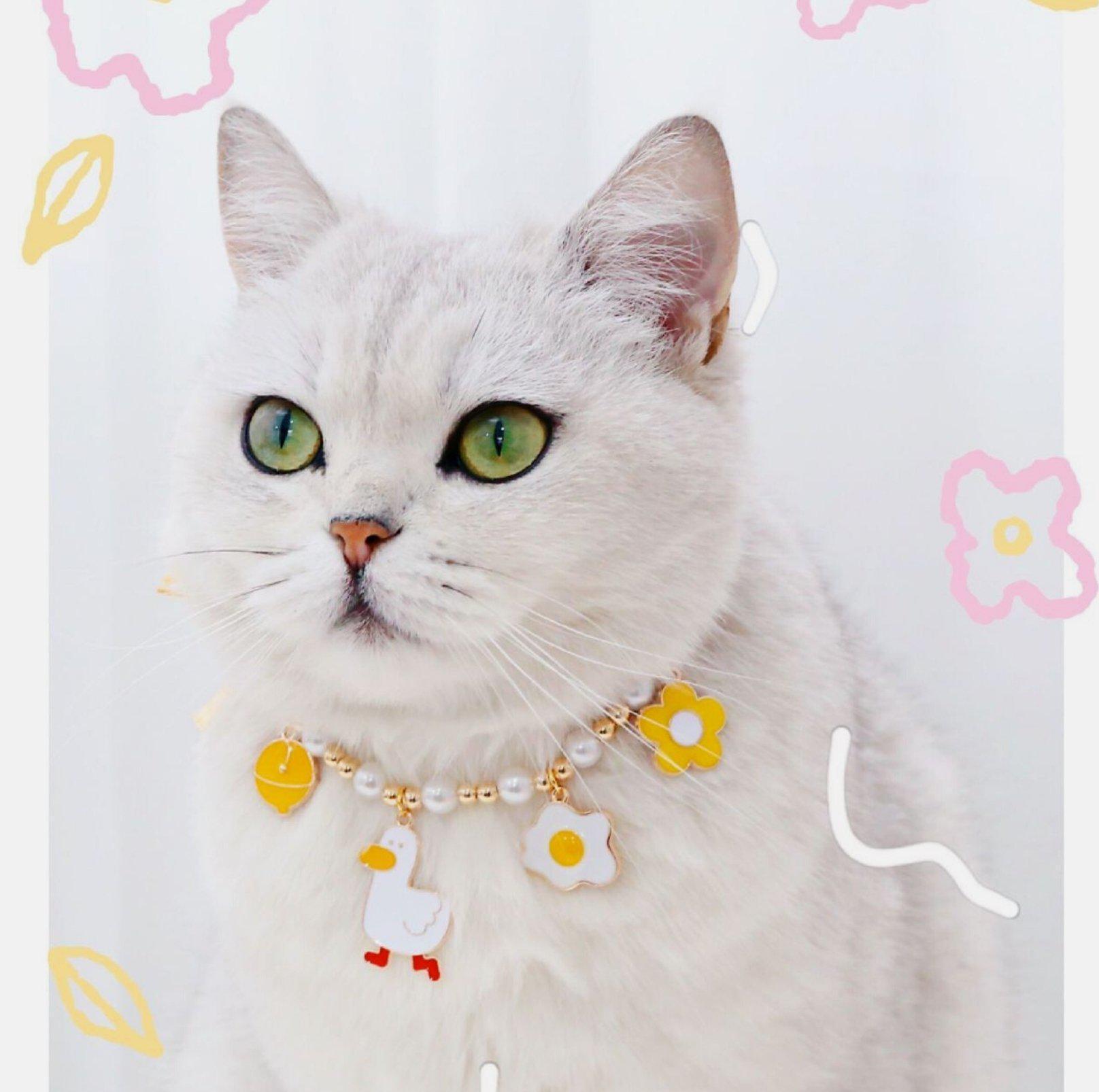 Cute Adjustable Ice-cream Strawberry & Duck Pet Necklace - {{product.type}} - PawPawUp