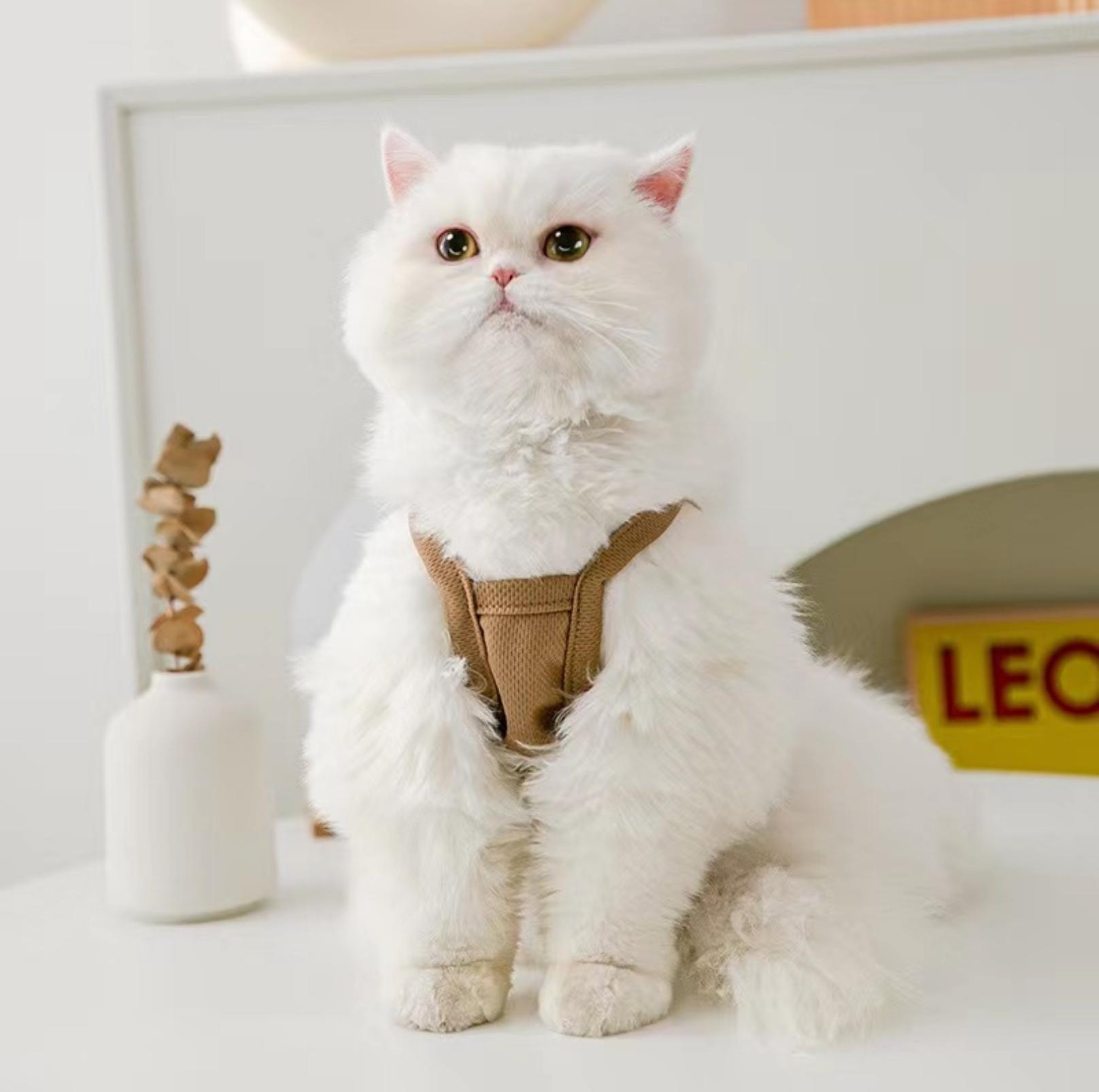 Cute Bear Pet Summer Vest Pet Apparels - {{product.type}} - PawPawUp