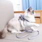 Cute Bow Pet Chest Harness and Leash | Stylish and Durable - {{product.type}} - PawPawUp