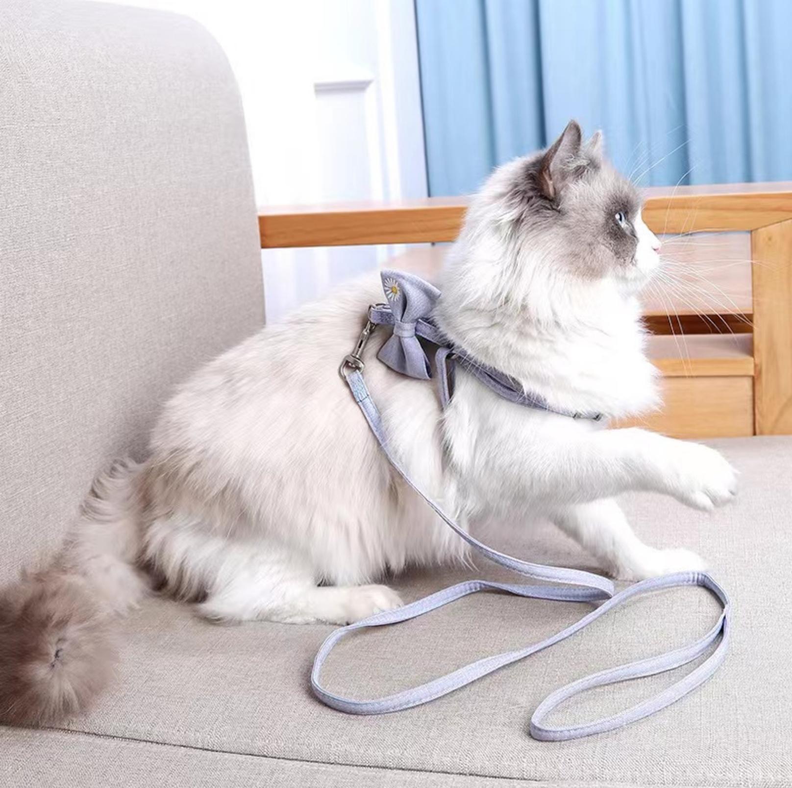 Cute Bow Pet Chest Harness and Leash | Stylish and Durable - {{product.type}} - PawPawUp