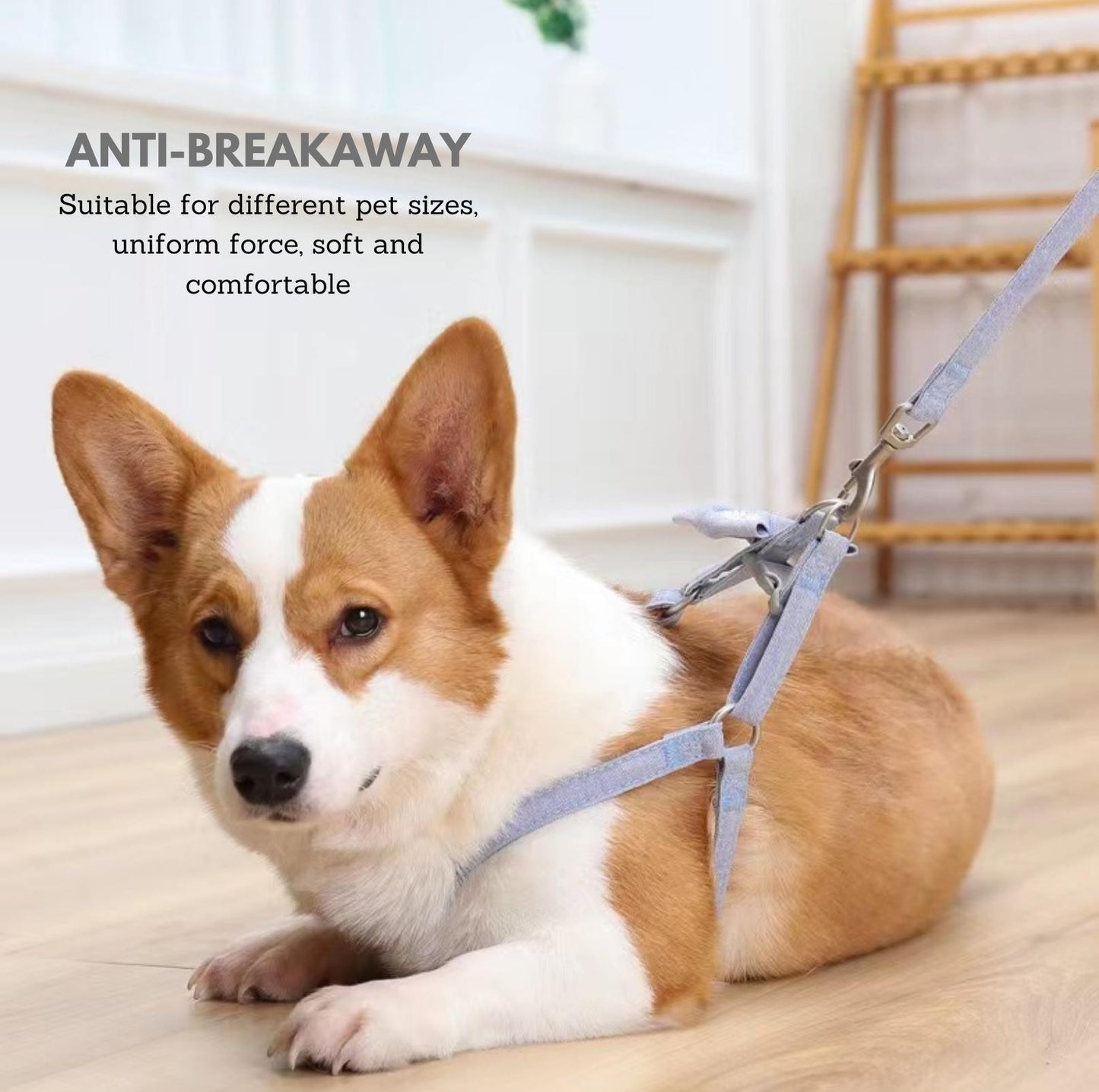 Cute Bow Pet Chest Harness and Leash | Stylish and Durable - {{product.type}} - PawPawUp