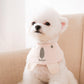 Cute Colourful Cartoon Bear Pet Bib Pet Accessory - {{product.type}} - PawPawUp