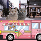Cute Vehicle Series Scratch Box Cat Scratcher - {{product.type}} - PawPawUp