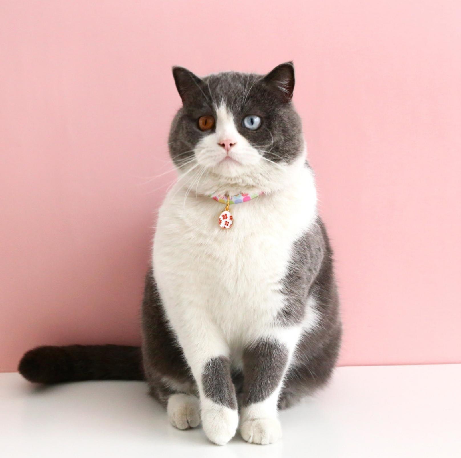 Easter Egg Design Adjustable Pet Collar - {{product.type}} - PawPawUp
