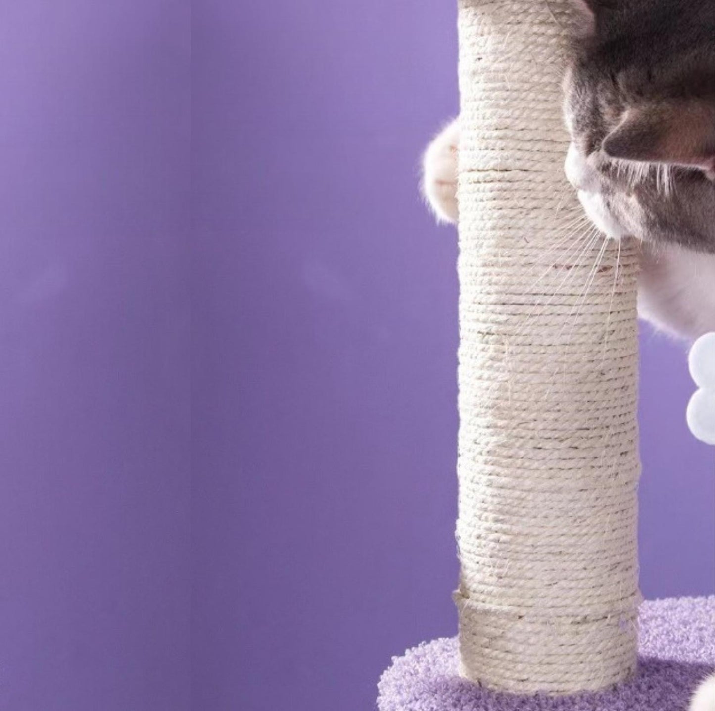 Fantasy Series Climbing Frame Cat Tree - Dreamland (Height 165cm) - {{product.type}} - PawPawUp