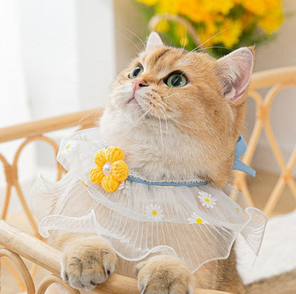 Floral Cat And Dog Necktie With Lace Bib Pet Accessories - {{product.type}} - PawPawUp