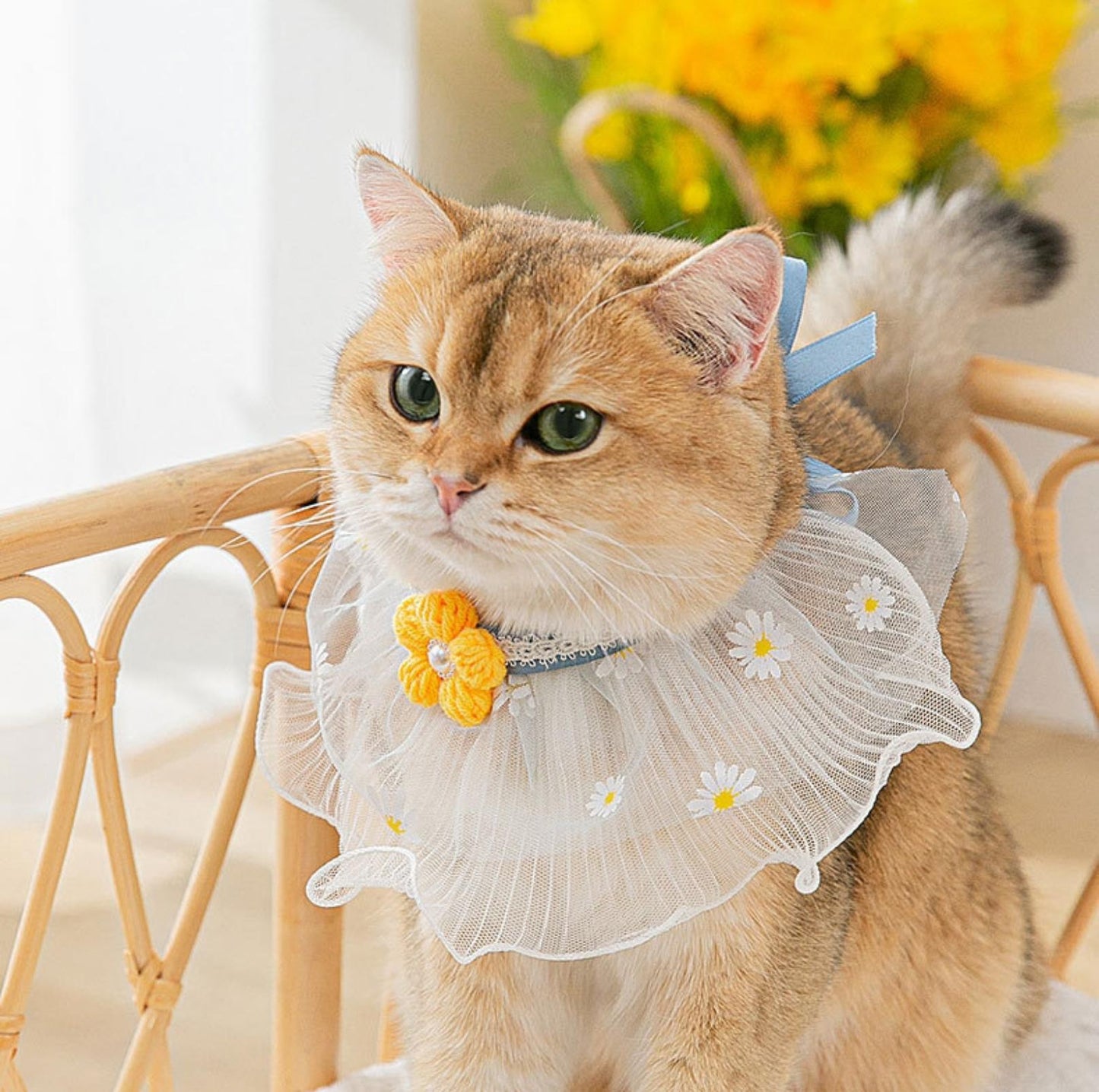 Floral Cat And Dog Necktie With Lace Bib Pet Accessories - {{product.type}} - PawPawUp
