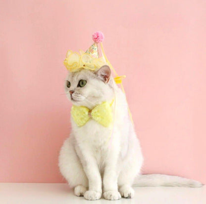 Floral Mesh Lace Accessory Set: Pet Birthday Hat & Bow Tie Combo - {{product.type}} - PawPawUp